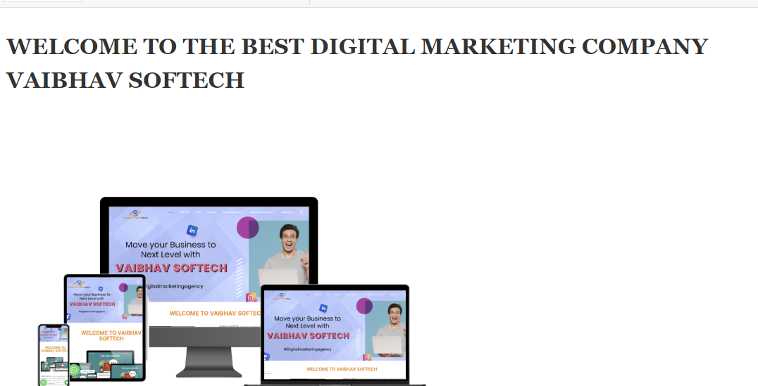 Digital Marketing Services Company in Delhi- Vaibhav SoftechServicesBusiness OffersSouth DelhiOther