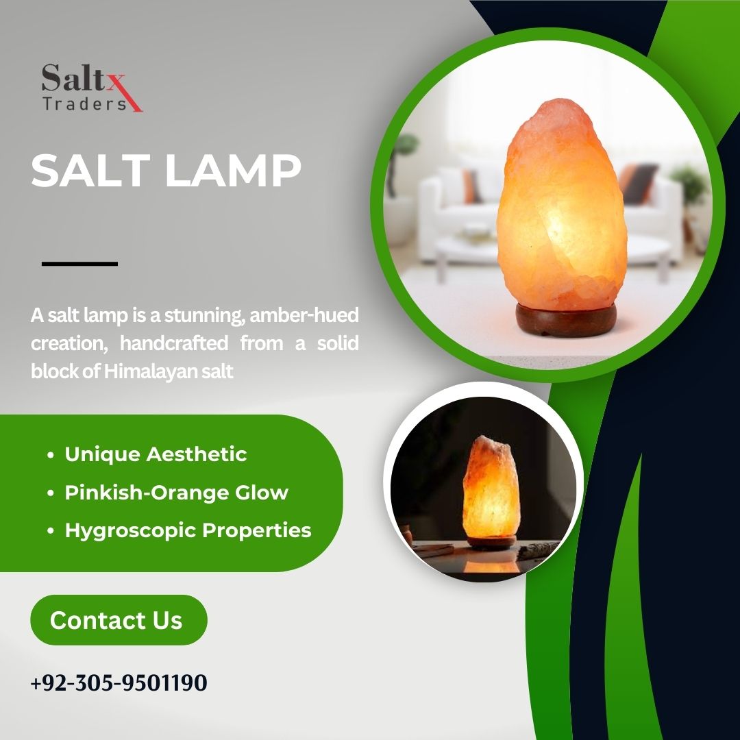 SaltXTraders: Your Trusted Salt Exporter in PakistanHealth and BeautyHealth Care ProductsFaridabadOld Faridabad