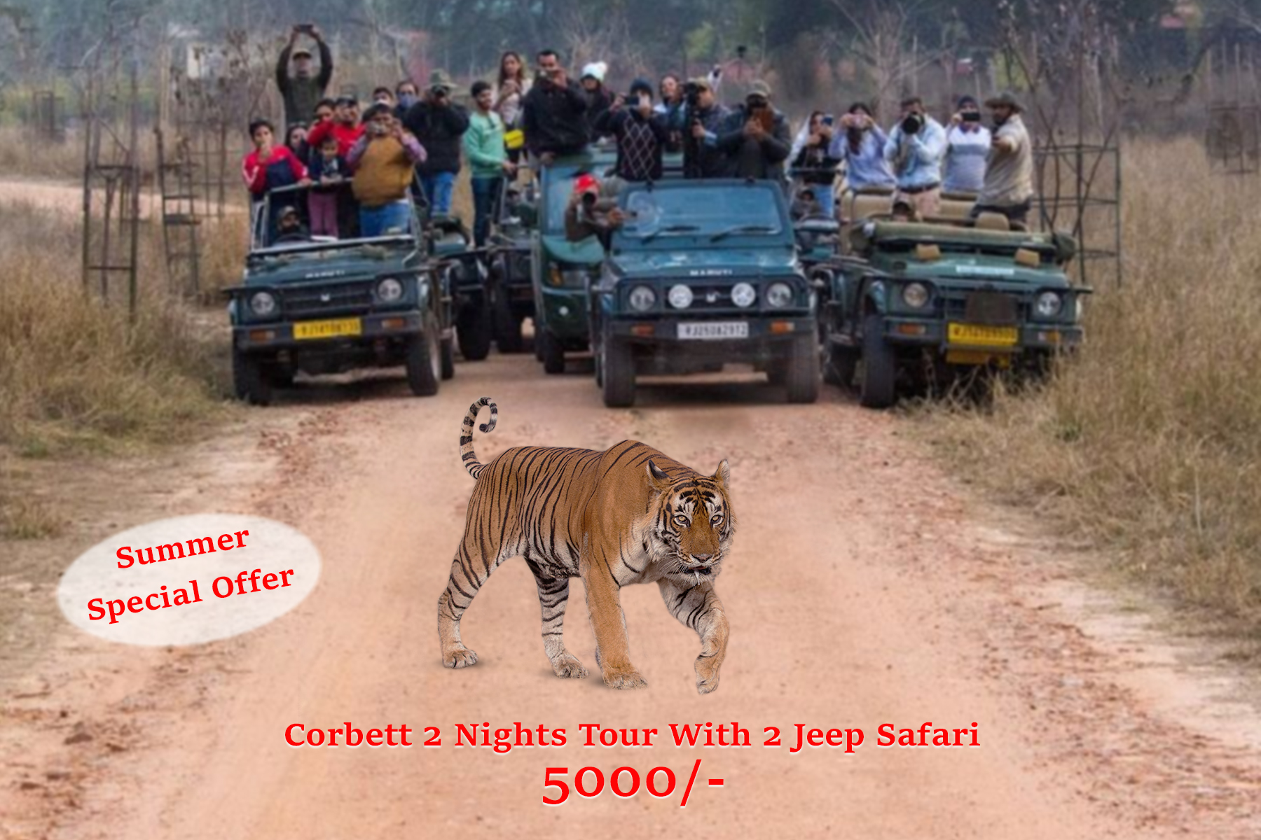 Summer Special Offer Corbett 2 Nights Tour With 2 Jeep Safari @5000 | Book NowTour and TravelsTour PackagesNorth DelhiKashmere Gate