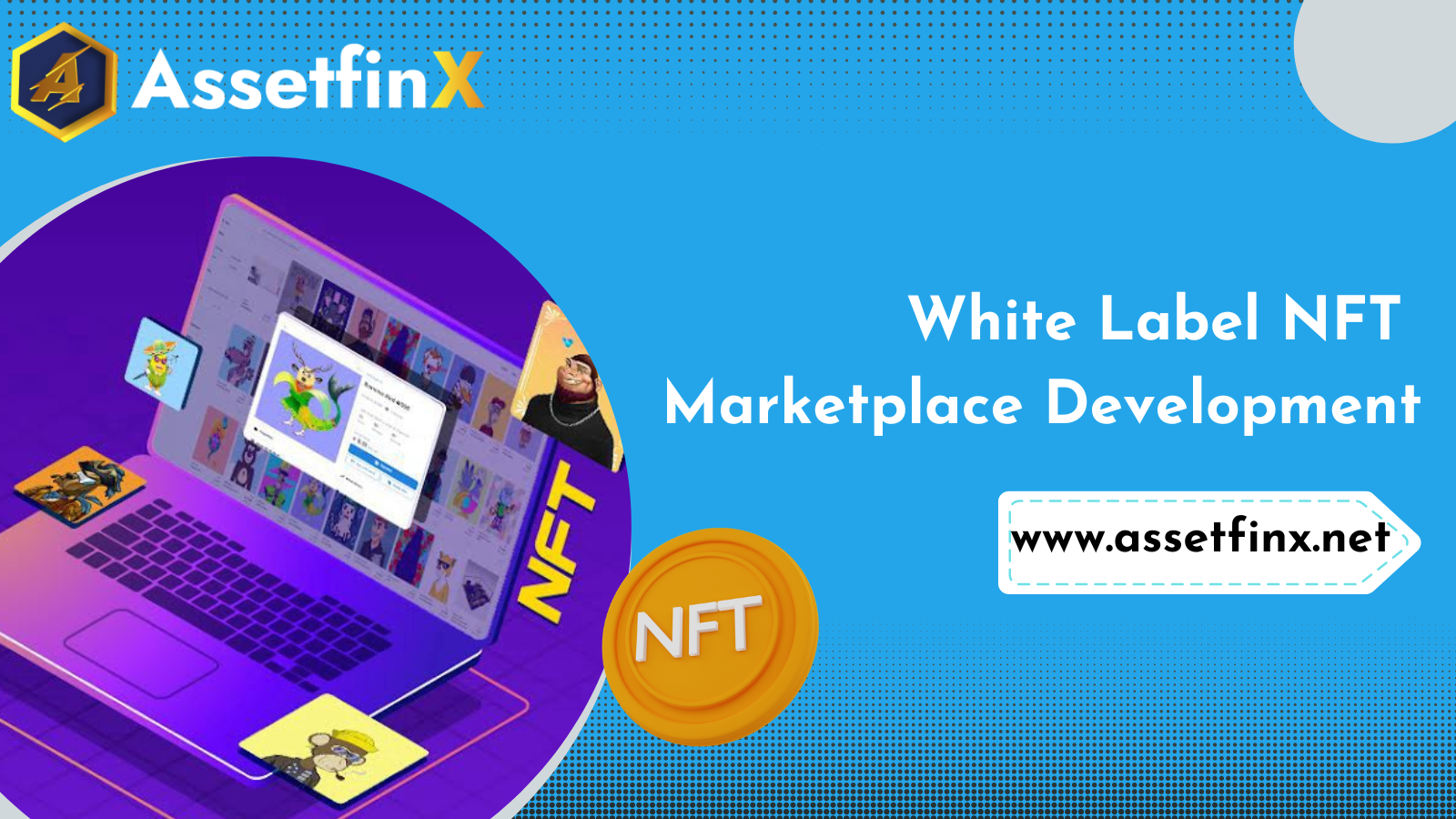 Develop Customizable White-label NFT Marketplace Today!ServicesBusiness OffersSouth DelhiDelhi Cantt