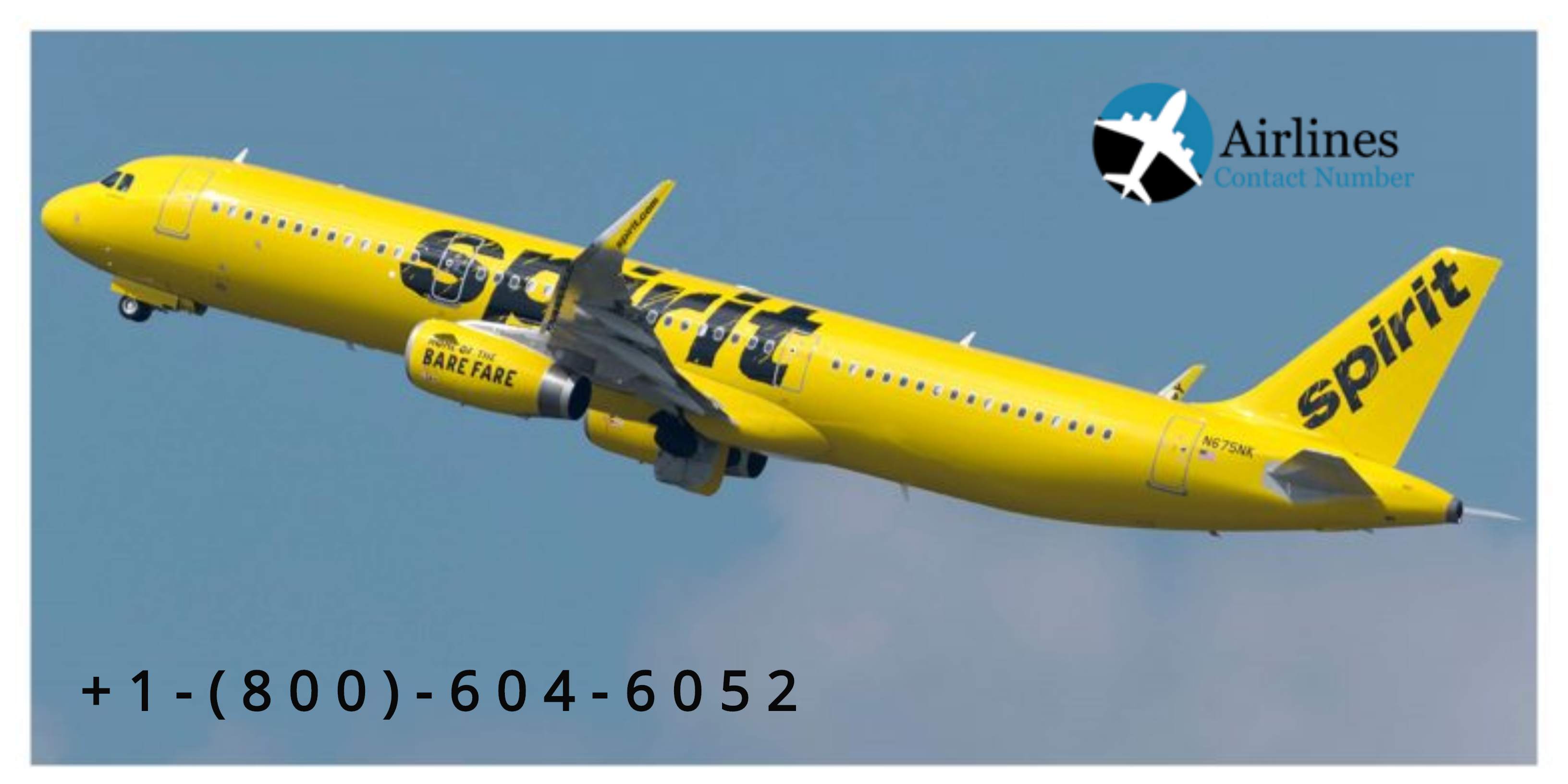 spirit airlines contact number