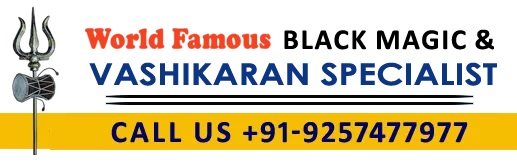 Vashikaran Specialist | Pt. Vikram SharmaServicesAstrology - NumerologyAll Indiaother