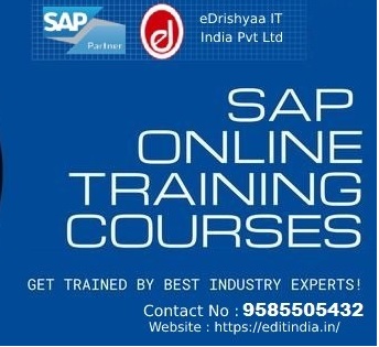 eDrishyaa IT India Pvt. Ltd   (SAP Authorized Academy)Education and LearningCoaching ClassesAll Indiaother