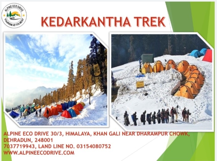 Best Tour and travel agency in Dehradun | Alpine Eco DriveServicesTravel AgentsAll IndiaAirport