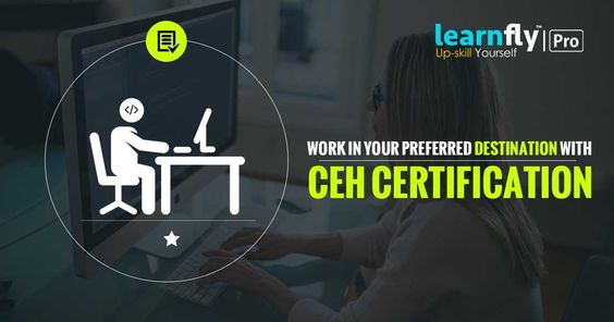 Ethical Hacking Training Institute Delhi-LearnflyAcademy
