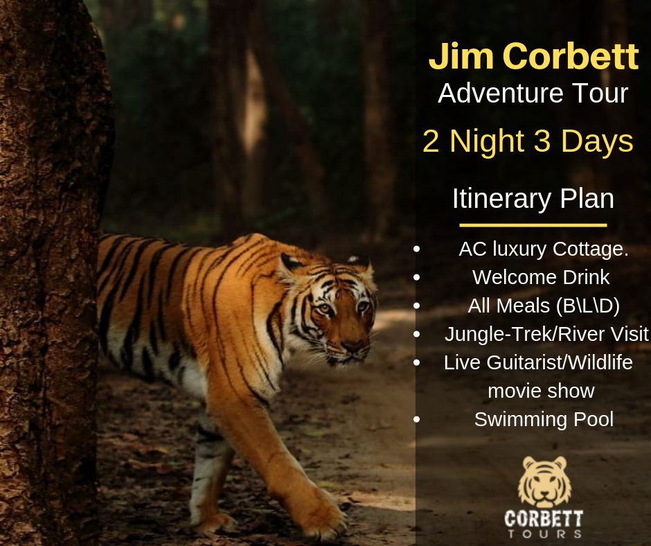 Affordable Tour Packages To Jim CorbettTour and TravelsTour PackagesNoidaHoshiyarpur Village