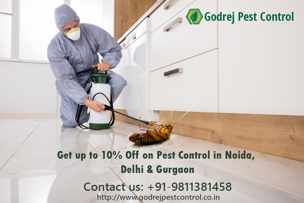 Pest Control Delhi | +91-9811381458 | Pest Control NoidaServicesEverything ElseNoidaNoida Sector 2