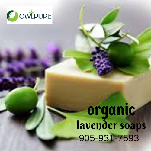 Best organic and natural products