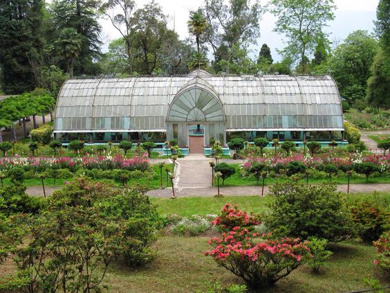 Tour Packages for Darjeeling and Sikkim