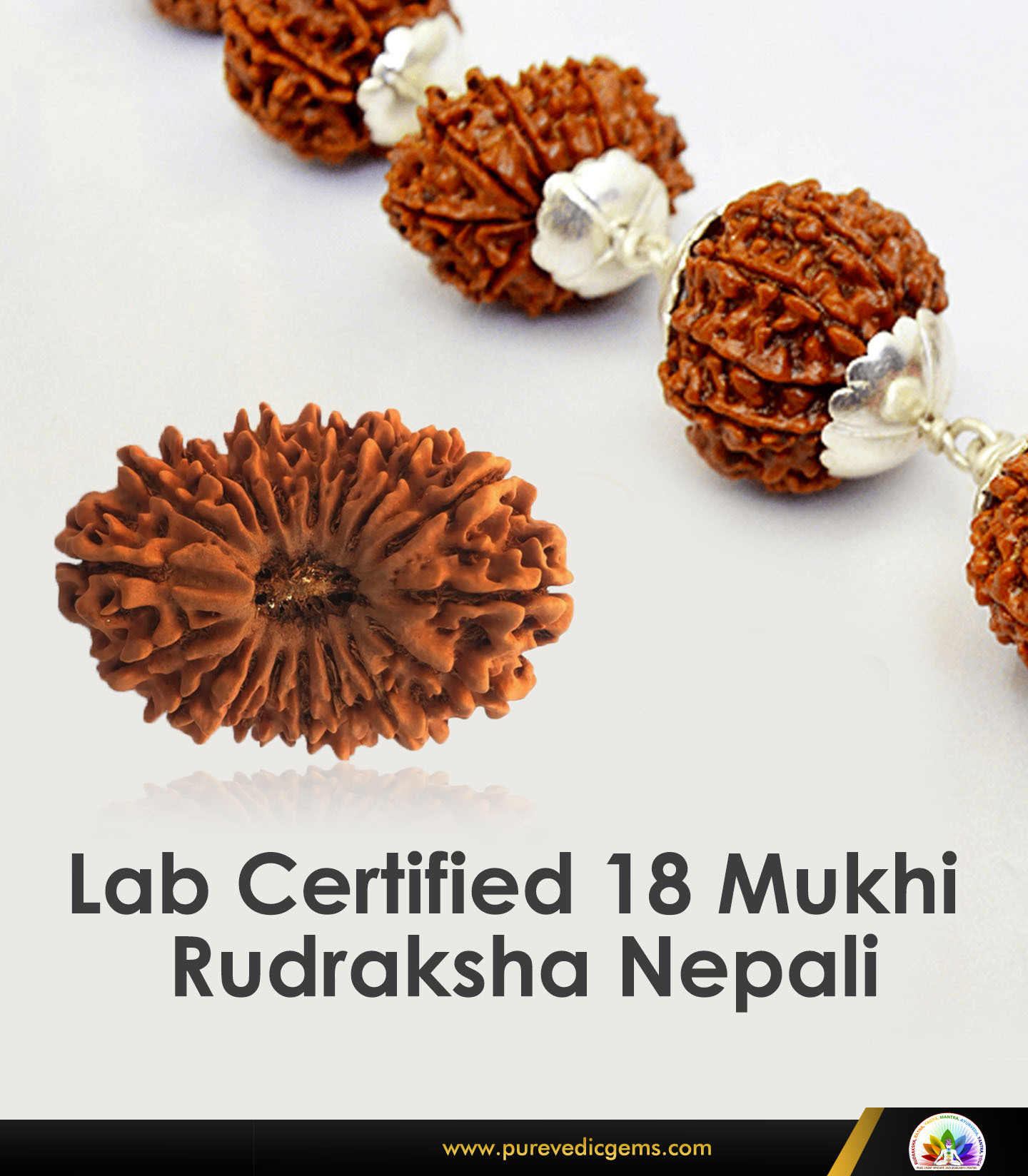 Lab Certified 18 Mukhi Rudraksha NepalFashion and JewelleryGemstone JewelrySouth DelhiSaket