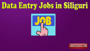 Free registration online jobs from homeJobsOther JobsWest DelhiJanak Puri