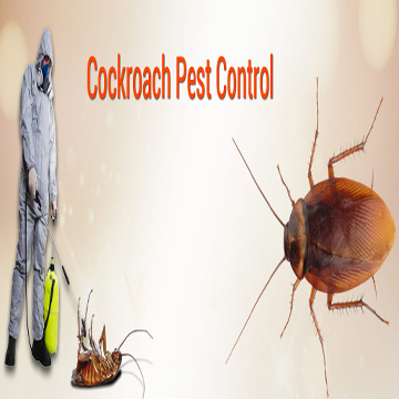 Best Pest Control Service in Munirka DelhiServicesEverything ElseSouth DelhiMunirka
