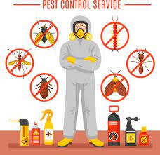 Cockroach Pest Control ChennaiServicesMaids & HousekeepingAll Indiaother