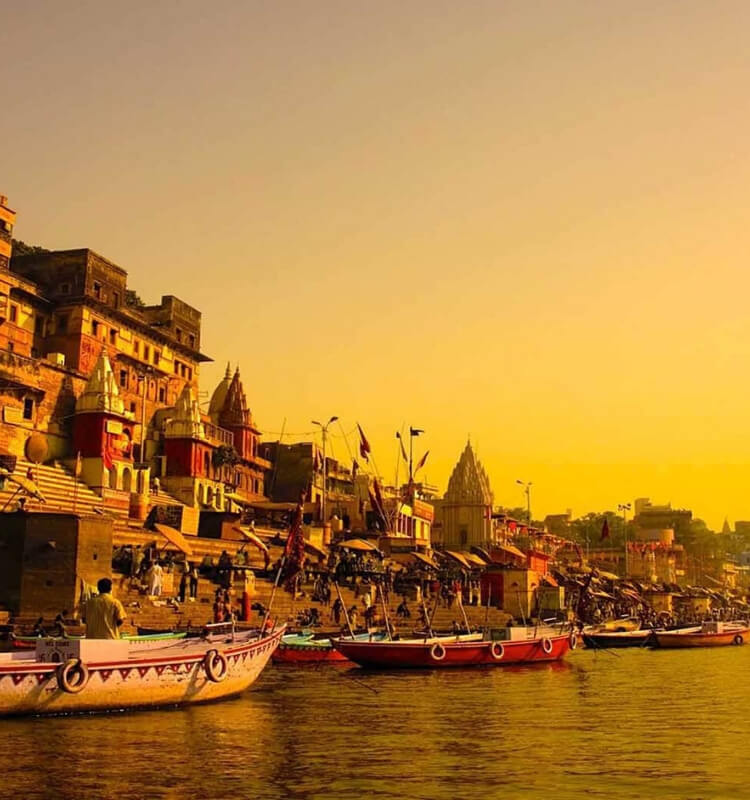 Get the Best Travel and Tour Packages From Joshi Tours and Travels