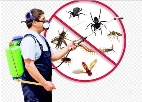 General Pest controlServicesEverything ElseSouth DelhiOkhla