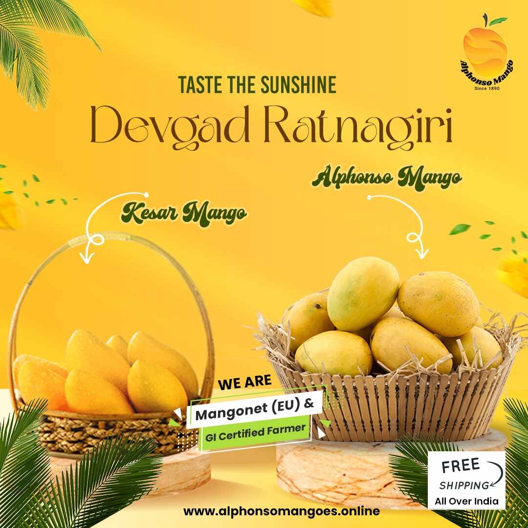 Alphonso Mangoes Online - Buy Hapus Mangoes Online at Best PricesFoods and DiningFood SnacksAll Indiaother