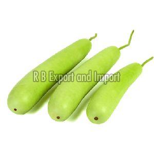 Fresh Green Bottle GourdManufacturers and ExportersFood & BeveragesAll Indiaother