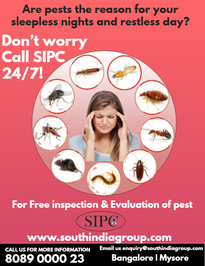 Residential Pest Control Services