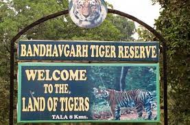 bandhavgarh safari booking onlineRental ServicesCars For RentWest DelhiTagore Garden