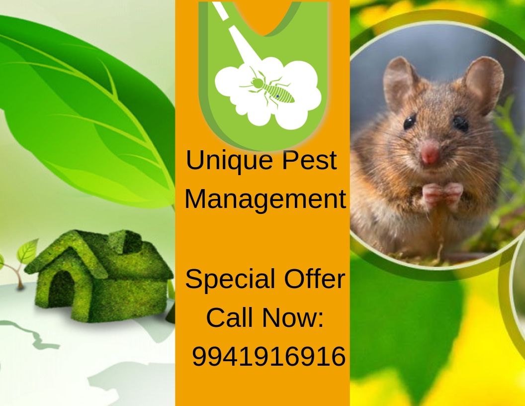 Unique Pest ManagementServicesEverything ElseAll Indiaother