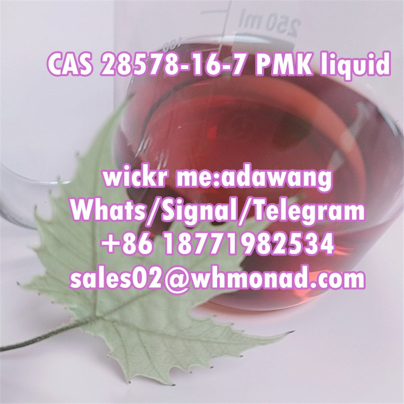 pmk liquid and powder cas 28578-16-7/13605-48-6 stockOtherCentral Delhi