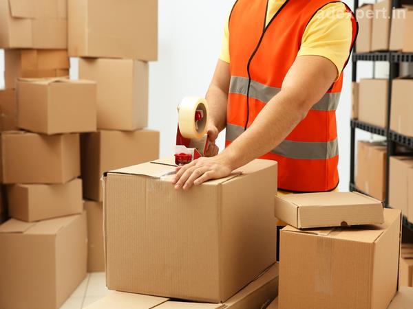 FedEx Courier Gurugram