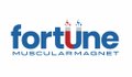 Fortune Muscular Magnet - One Stop For Neodymium Magnet And Ferrite Magnet