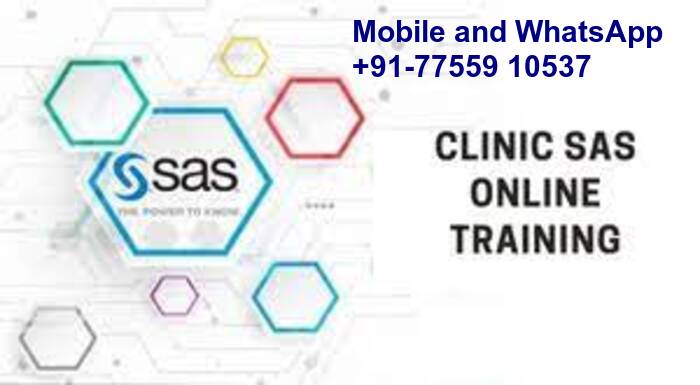 Clinical SAS class Base SASEducation and LearningPrivate TuitionsNoidaNoida Sector 11