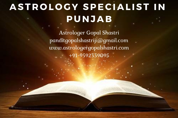 World Famous Astrology Specialist in Punjab