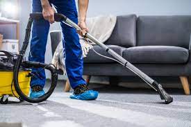 Green carpet cleaning OcServicesCarpenters - UpholsteryCentral DelhiChandni Chowk