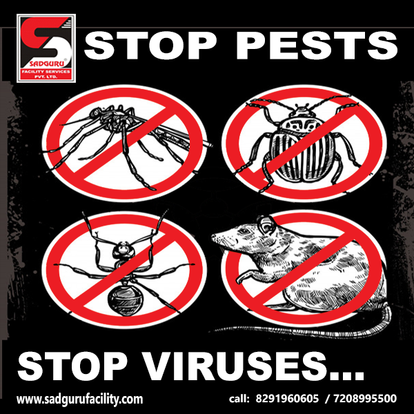 Pest Control Services in Andheri - Sadguru Pest ControlServicesHealth - FitnessAll Indiaother