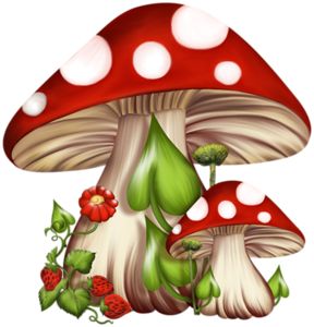 Mushroom Edibles for sale