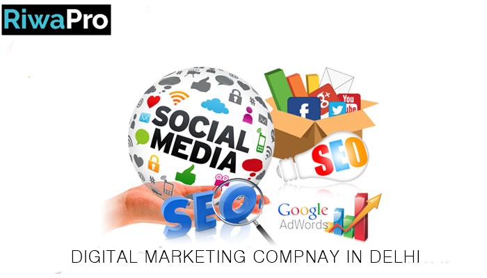 Digital Marketing Company in Delhi | RiwaPro