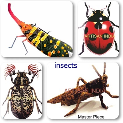 Insects LED FrameManufacturers and ExportersArts & CraftsAll Indiaother