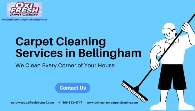 Professional Carpet Cleaning Services in BellinghamServicesEverything ElseGurgaonWazirabad