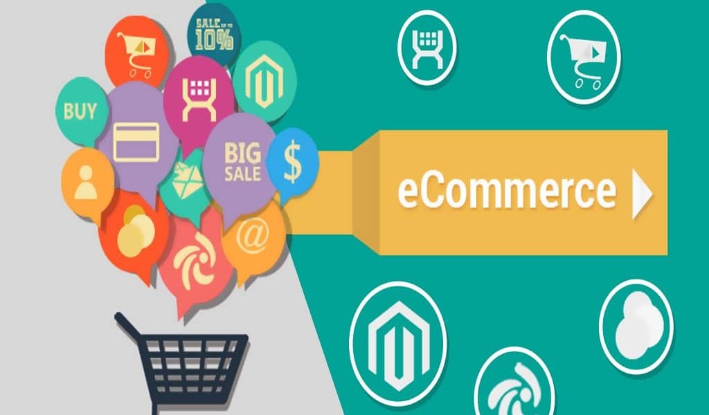 Ecommerce Website Development Company in India